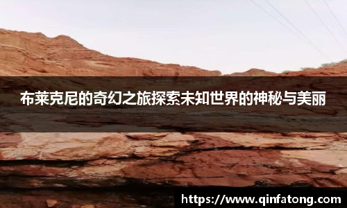 EMC易倍体育赛事